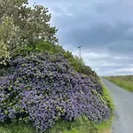 Luxury Wild Atlantic Way Accommodation With Sea Views And Free Wifi